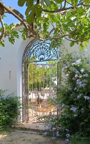 Finca Olivo Llorón